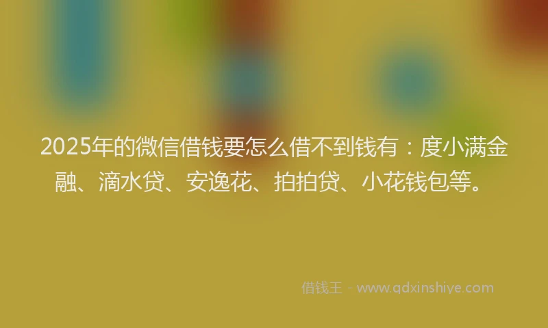 2025年的微信借钱要怎么借不到钱有：度小满金融、滴水贷、安逸花、拍拍贷、小花钱包等。