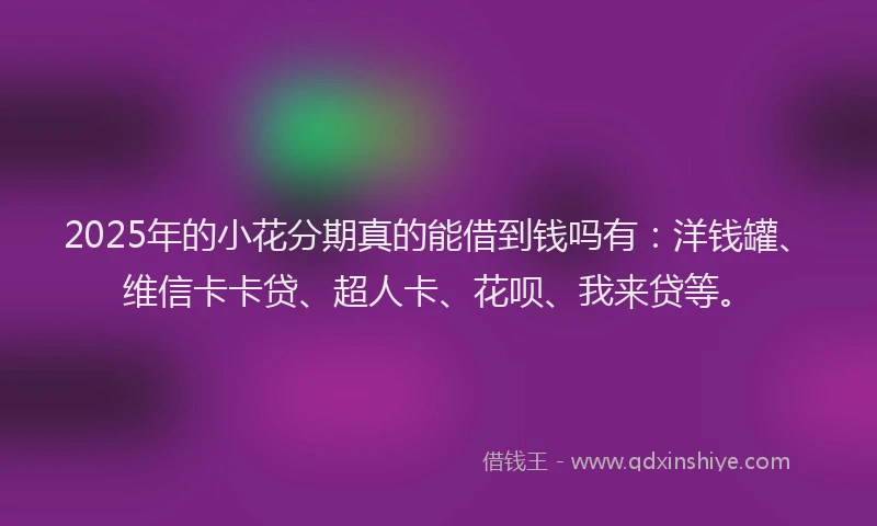 2025年的小花分期真的能借到钱吗有：洋钱罐、维信卡卡贷、超人卡、花呗、我来贷等。