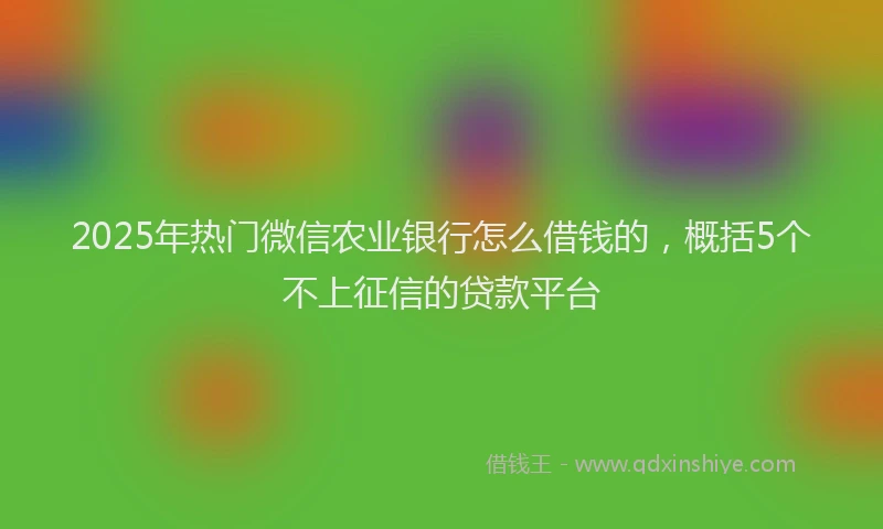 2025年热门微信农业银行怎么借钱的，概括5个不上征信的贷款平台