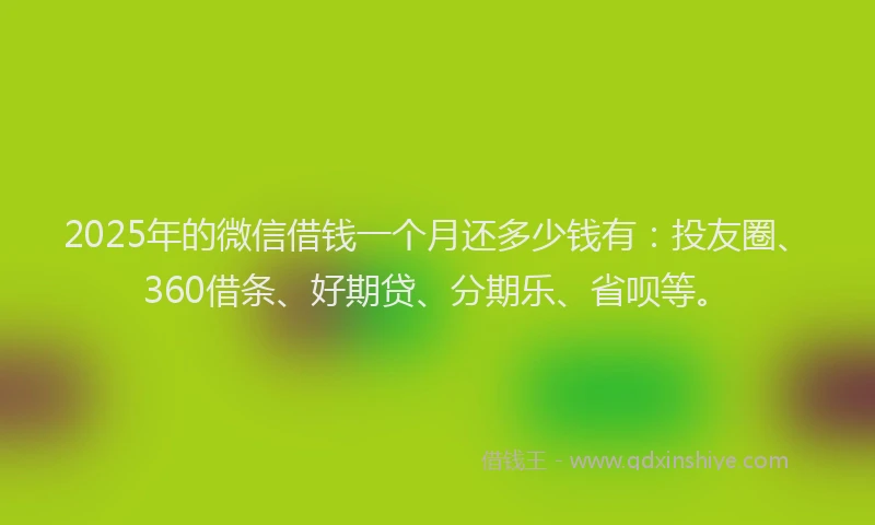 2025年的微信借钱一个月还多少钱有：投友圈、360借条、好期贷、分期乐、省呗等。