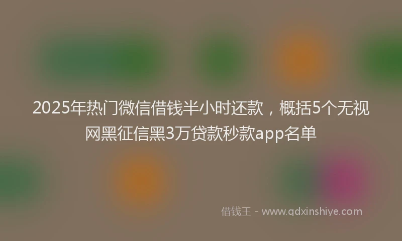 2025年热门微信借钱半小时还款，概括5个无视网黑征信黑3万贷款秒款app名单