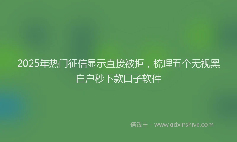 2025年热门征信显示直接被拒，梳理五个无视黑白户秒下款口子软件
