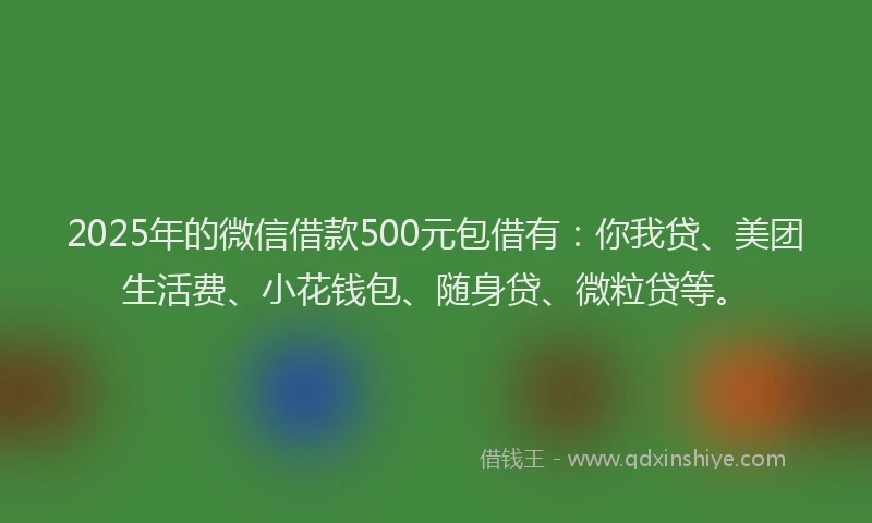 2025年的微信借款500元包借有：你我贷、美团生活费、小花钱包、随身贷、微粒贷等。