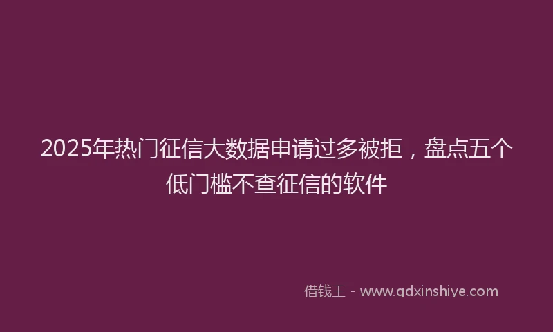 2025年热门征信大数据申请过多被拒，盘点五个低门槛不查征信的软件
