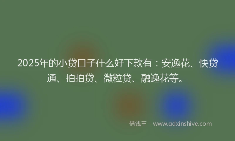 2025年的小贷口子什么好下款有：安逸花、快贷通、拍拍贷、微粒贷、融逸花等。