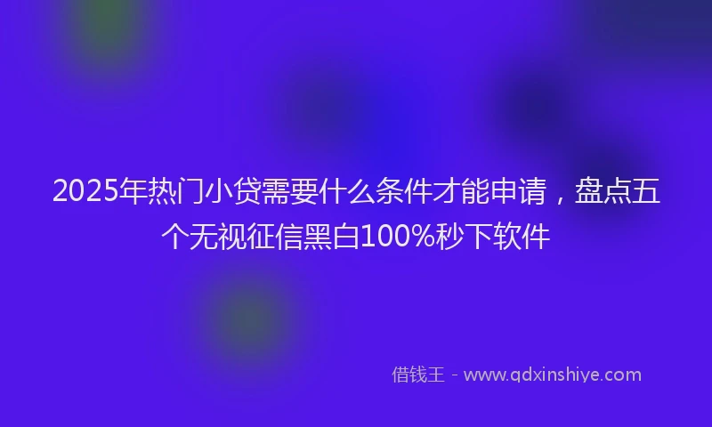 2025年热门小贷需要什么条件才能申请，盘点五个无视征信黑白100%秒下软件