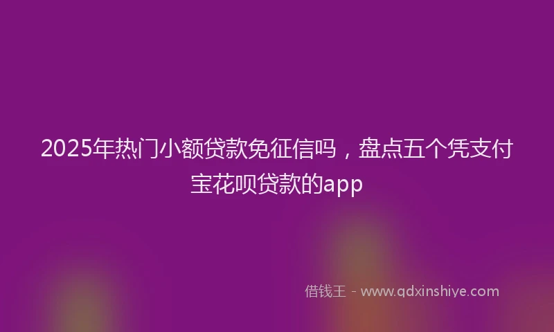 2025年热门小额贷款免征信吗，盘点五个凭支付宝花呗贷款的app