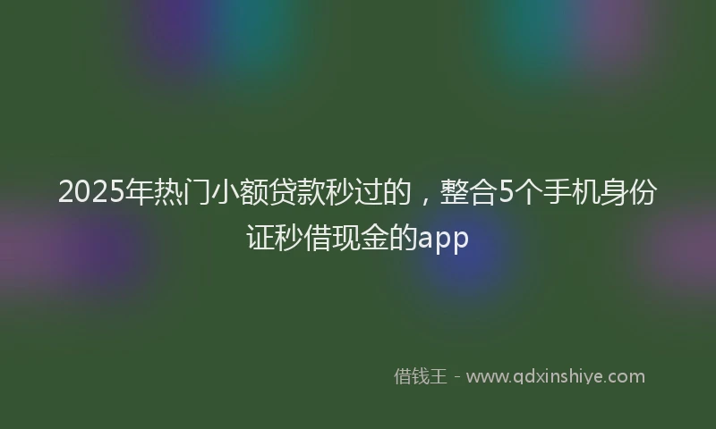 2025年热门小额贷款秒过的，整合5个手机身份证秒借现金的app