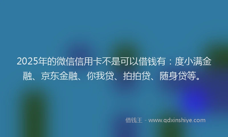 2025年的微信信用卡不是可以借钱有：度小满金融、京东金融、你我贷、拍拍贷、随身贷等。