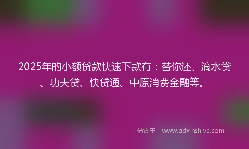 2025年的小额贷款快速下款有：替你还、滴水贷、功夫贷、快贷通、中原消费金融等。