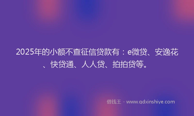 2025年的小额不查征信贷款有：e微贷、安逸花、快贷通、人人贷、拍拍贷等。