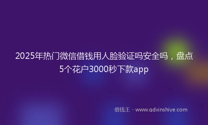 2025年热门微信借钱用人脸验证吗安全吗，盘点5个花户3000秒下款app