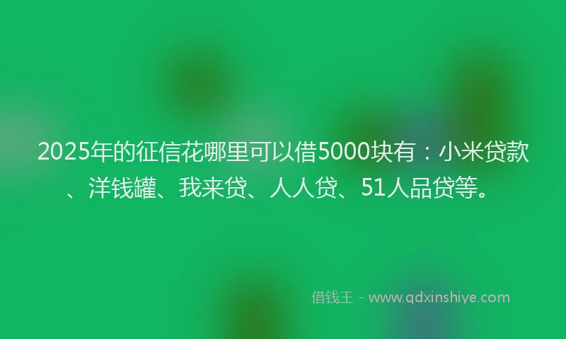 2025年的征信花哪里可以借5000块有：小米贷款、洋钱罐、我来贷、人人贷、51人品贷等。