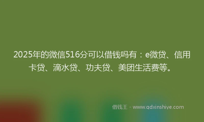2025年的微信516分可以借钱吗有：e微贷、信用卡贷、滴水贷、功夫贷、美团生活费等。
