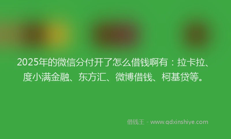 2025年的微信分付开了怎么借钱啊有：拉卡拉、度小满金融、东方汇、微博借钱、柯基贷等。