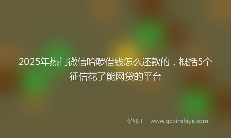 2025年热门微信哈啰借钱怎么还款的，概括5个征信花了能网贷的平台