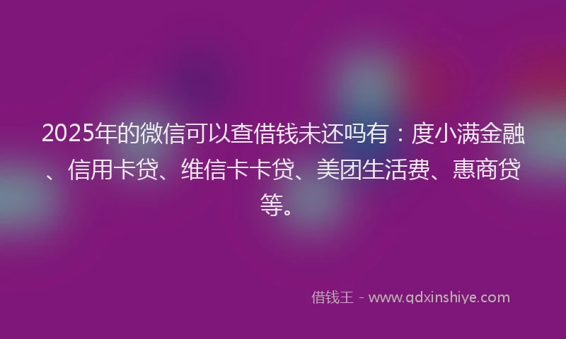 2025年的微信可以查借钱未还吗有：度小满金融、信用卡贷、维信卡卡贷、美团生活费、惠商贷等。