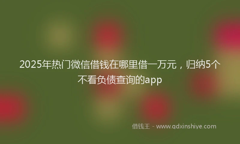 2025年热门微信借钱在哪里借一万元，归纳5个不看负债查询的app