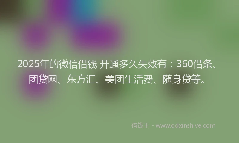 2025年的微信借钱 开通多久失效有：360借条、团贷网、东方汇、美团生活费、随身贷等。
