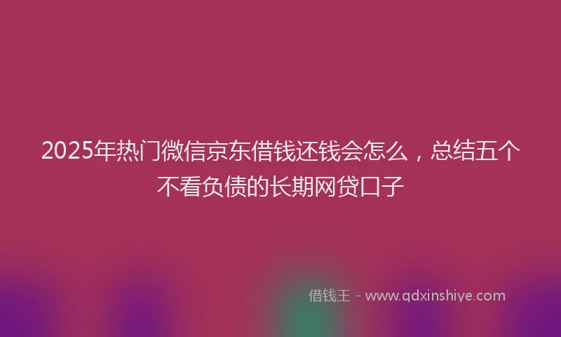 2025年热门微信京东借钱还钱会怎么，总结五个不看负债的长期网贷口子