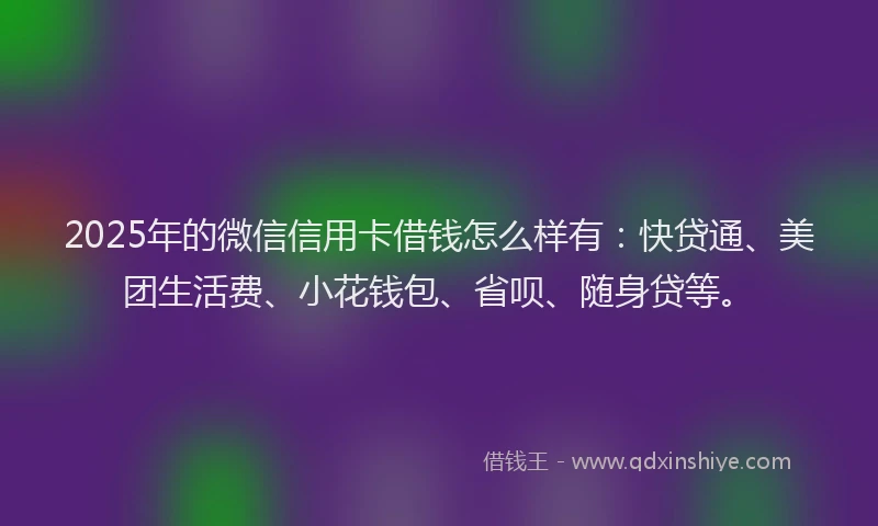 2025年的微信信用卡借钱怎么样有：快贷通、美团生活费、小花钱包、省呗、随身贷等。