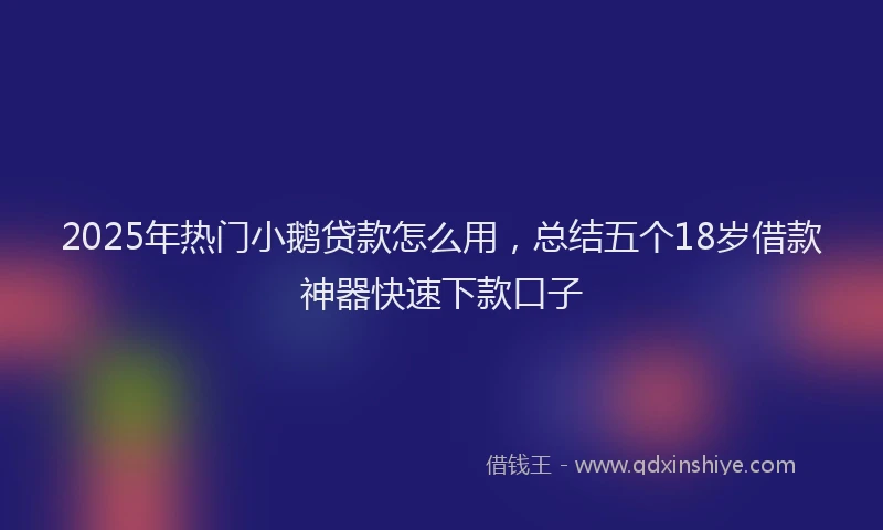 2025年热门小鹅贷款怎么用，总结五个18岁借款神器快速下款口子