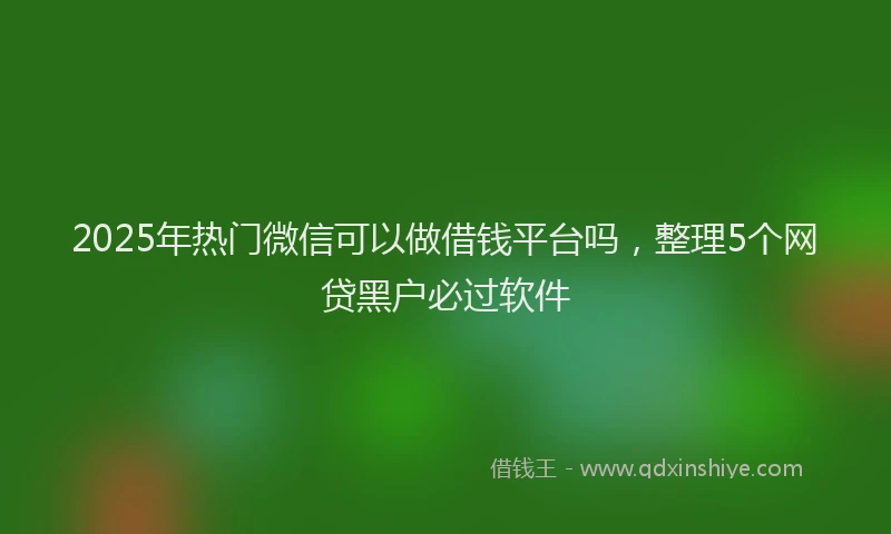 2025年热门微信可以做借钱平台吗，整理5个网贷黑户必过软件