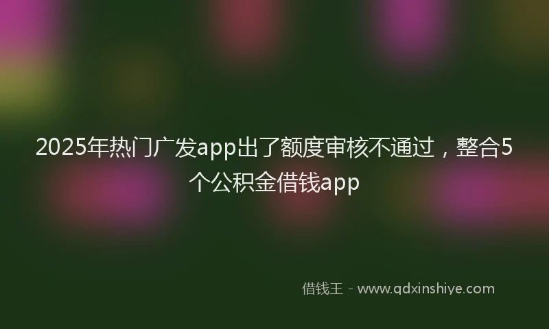 2025年热门广发app出了额度审核不通过，整合5个公积金借钱app