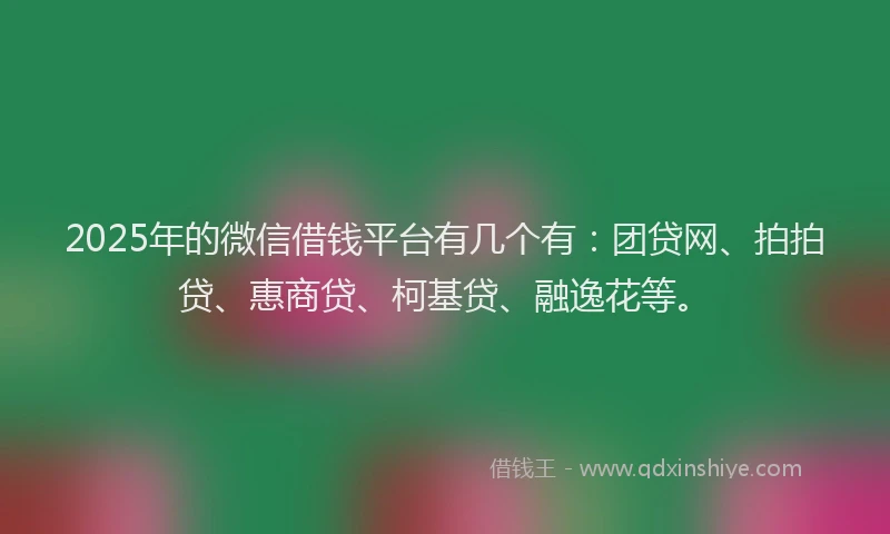 2025年的微信借钱平台有几个有：团贷网、拍拍贷、惠商贷、柯基贷、融逸花等。