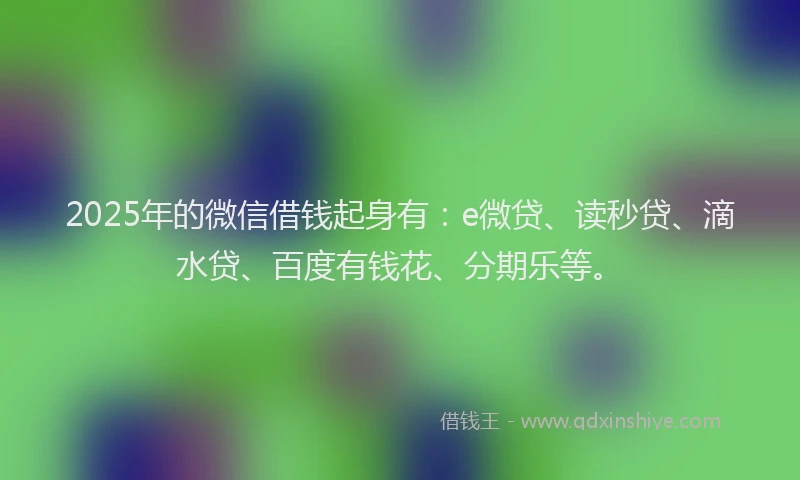 2025年的微信借钱起身有：e微贷、读秒贷、滴水贷、百度有钱花、分期乐等。