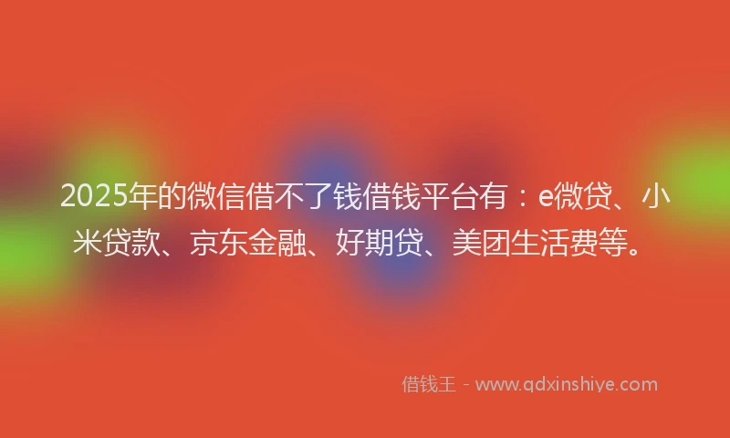 2025年的微信借不了钱借钱平台有：e微贷、小米贷款、京东金融、好期贷、美团生活费等。