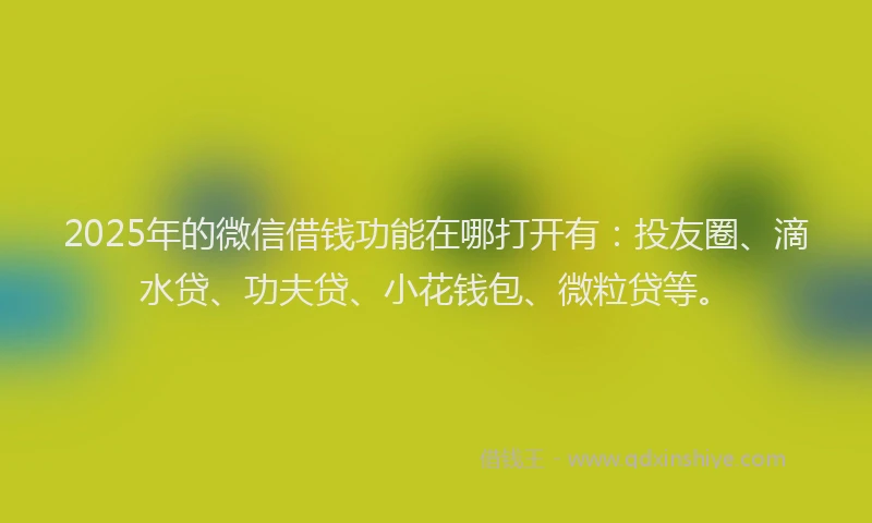 2025年的微信借钱功能在哪打开有：投友圈、滴水贷、功夫贷、小花钱包、微粒贷等。
