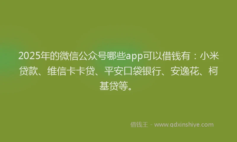 2025年的微信公众号哪些app可以借钱有：小米贷款、维信卡卡贷、平安口袋银行、安逸花、柯基贷等。