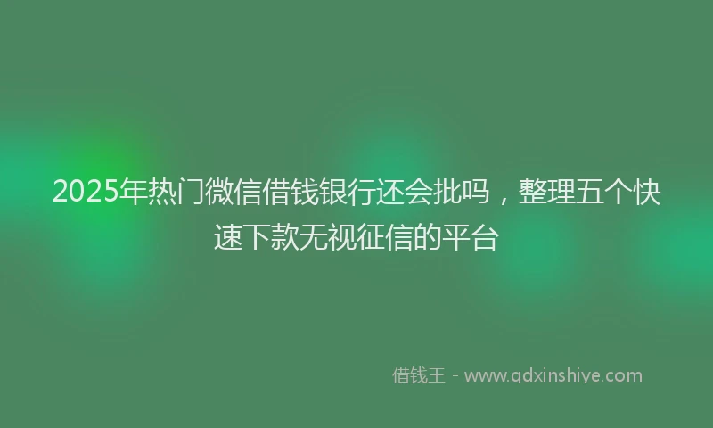 2025年热门微信借钱银行还会批吗，整理五个快速下款无视征信的平台