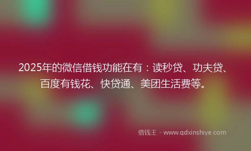 2025年的微信借钱功能在有：读秒贷、功夫贷、百度有钱花、快贷通、美团生活费等。