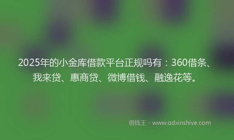 2025年的小金库借款平台正规吗有：360借条、我来贷、惠商贷、微博借钱、融逸花等。