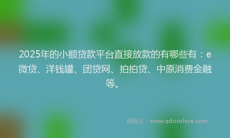 2025年的小额贷款平台直接放款的有哪些有：e微贷、洋钱罐、团贷网、拍拍贷、中原消费金融等。