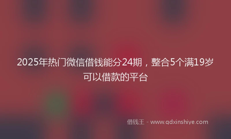 2025年热门微信借钱能分24期，整合5个满19岁可以借款的平台