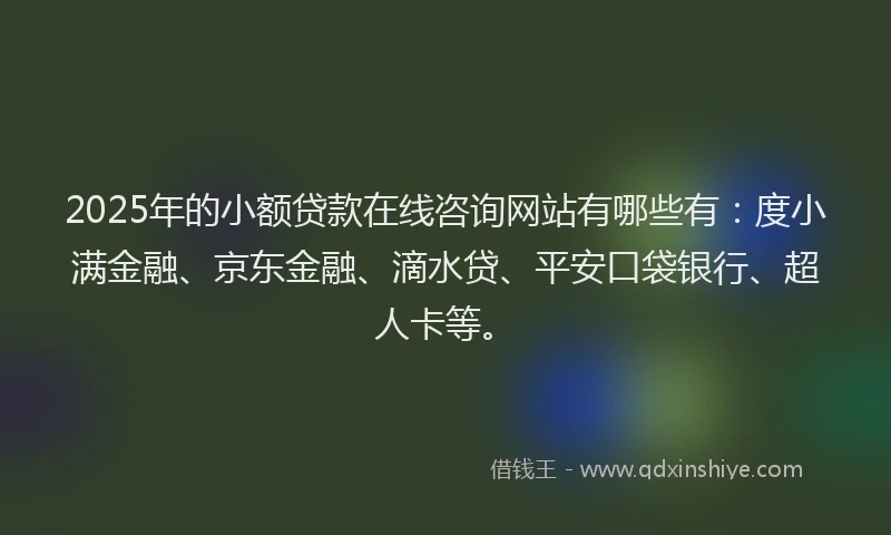 2025年的小额贷款在线咨询网站有哪些有：度小满金融、京东金融、滴水贷、平安口袋银行、超人卡等。