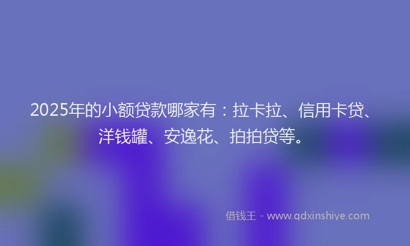 2025年的小额贷款哪家有：拉卡拉、信用卡贷、洋钱罐、安逸花、拍拍贷等。