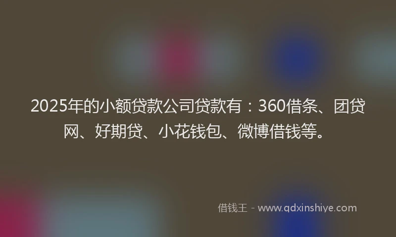2025年的小额贷款公司贷款有：360借条、团贷网、好期贷、小花钱包、微博借钱等。