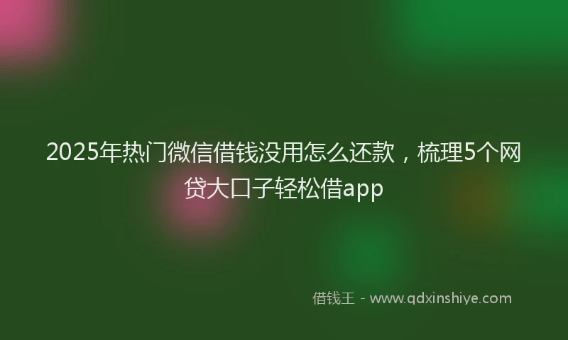 2025年热门微信借钱没用怎么还款，梳理5个网贷大口子轻松借app