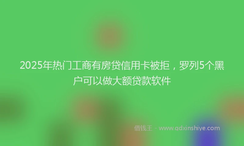 2025年热门工商有房贷信用卡被拒，罗列5个黑户可以做大额贷款软件