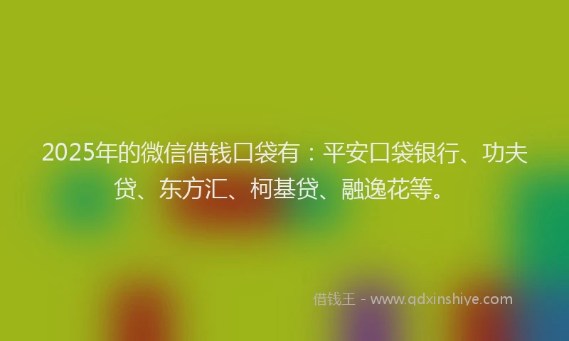 2025年的微信借钱口袋有：平安口袋银行、功夫贷、东方汇、柯基贷、融逸花等。