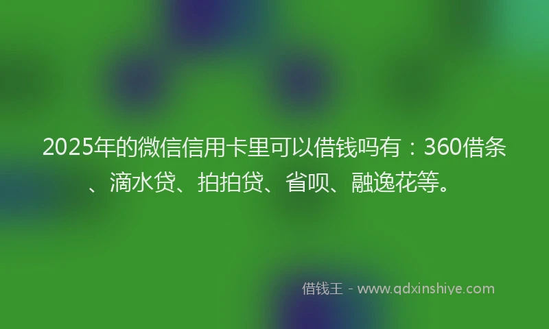 2025年的微信信用卡里可以借钱吗有：360借条、滴水贷、拍拍贷、省呗、融逸花等。