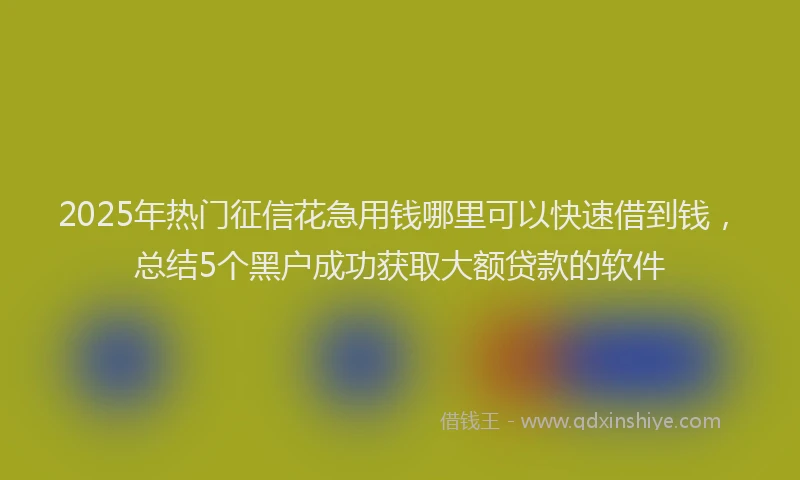 2025年热门征信花急用钱哪里可以快速借到钱，总结5个黑户成功获取大额贷款的软件