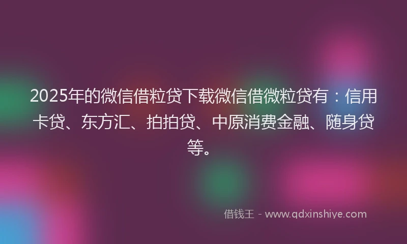 2025年的微信借粒贷下载微信借微粒贷有：信用卡贷、东方汇、拍拍贷、中原消费金融、随身贷等。