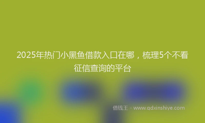 2025年热门小黑鱼借款入口在哪，梳理5个不看征信查询的平台