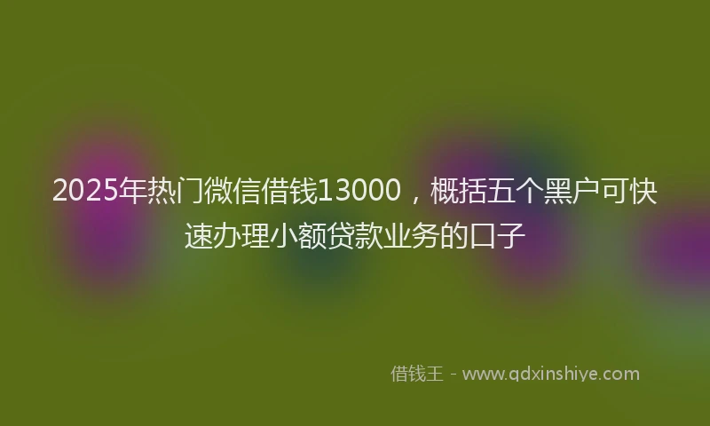 2025年热门微信借钱13000，概括五个黑户可快速办理小额贷款业务的口子