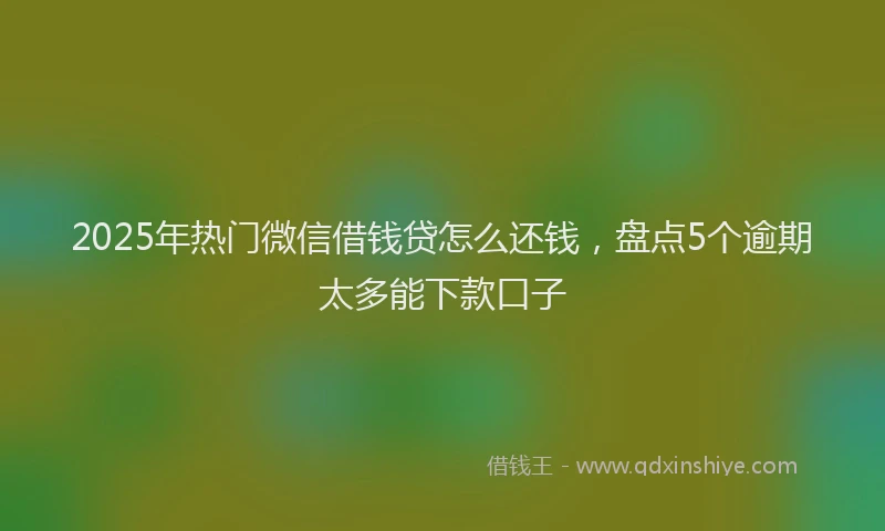 2025年热门微信借钱贷怎么还钱，盘点5个逾期太多能下款口子